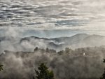 Fruehnebel